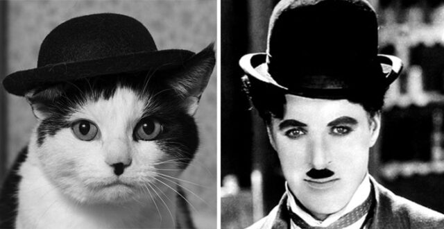 chaplin
