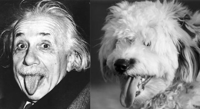 einstein