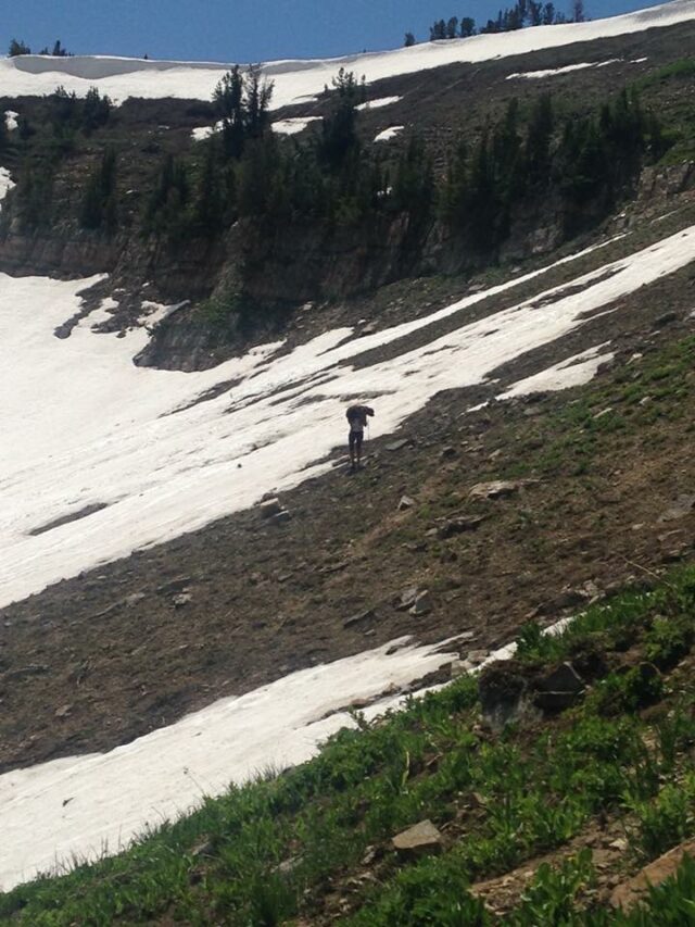 woman-saves-55-pound-injured-dog-and-carries-him-on-her-shoulders-down-a-mountain-for-6-hours-03 woman saves 55 pound injured dog and carries him on her shoulders down a mountain for 6 hours 03