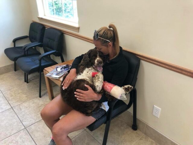 woman-saves-55-pound-injured-dog-and-carries-him-on-her-shoulders-down-a-mountain-for-6-hours-05 woman saves 55 pound injured dog and carries him on her shoulders down a mountain for 6 hours 05