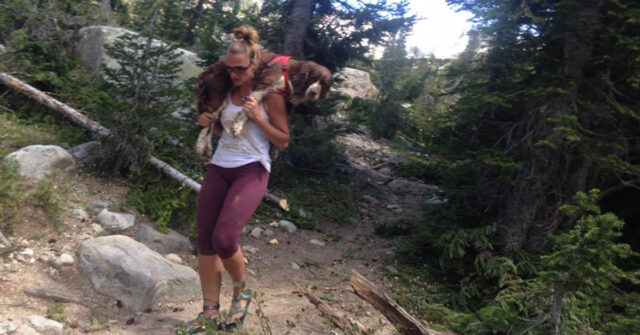 woman_carries_dog_3 woman saves 55 pound injured dog and carries him on her shoulders down a mountain for 6 hours
