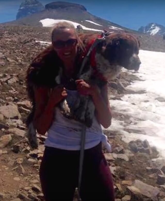 woman_carries_dog_3 woman carries dog 3