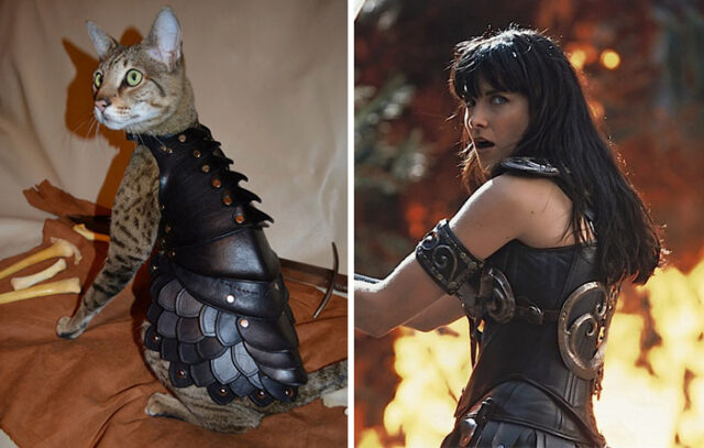 xena